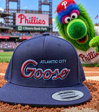 Load image into Gallery viewer, Goose Hat - multiple styles