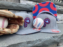 Load image into Gallery viewer, PHanatic LP Hats (multiple styles/colors)