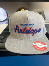 Load image into Gallery viewer, Phish Hats "Notable Numbers"  Script & 3-Bar Collegiate