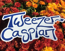 Load image into Gallery viewer, Tweezer > Caspian (Magnaball)