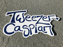 Load image into Gallery viewer, Tweezer > Caspian (Magnaball)