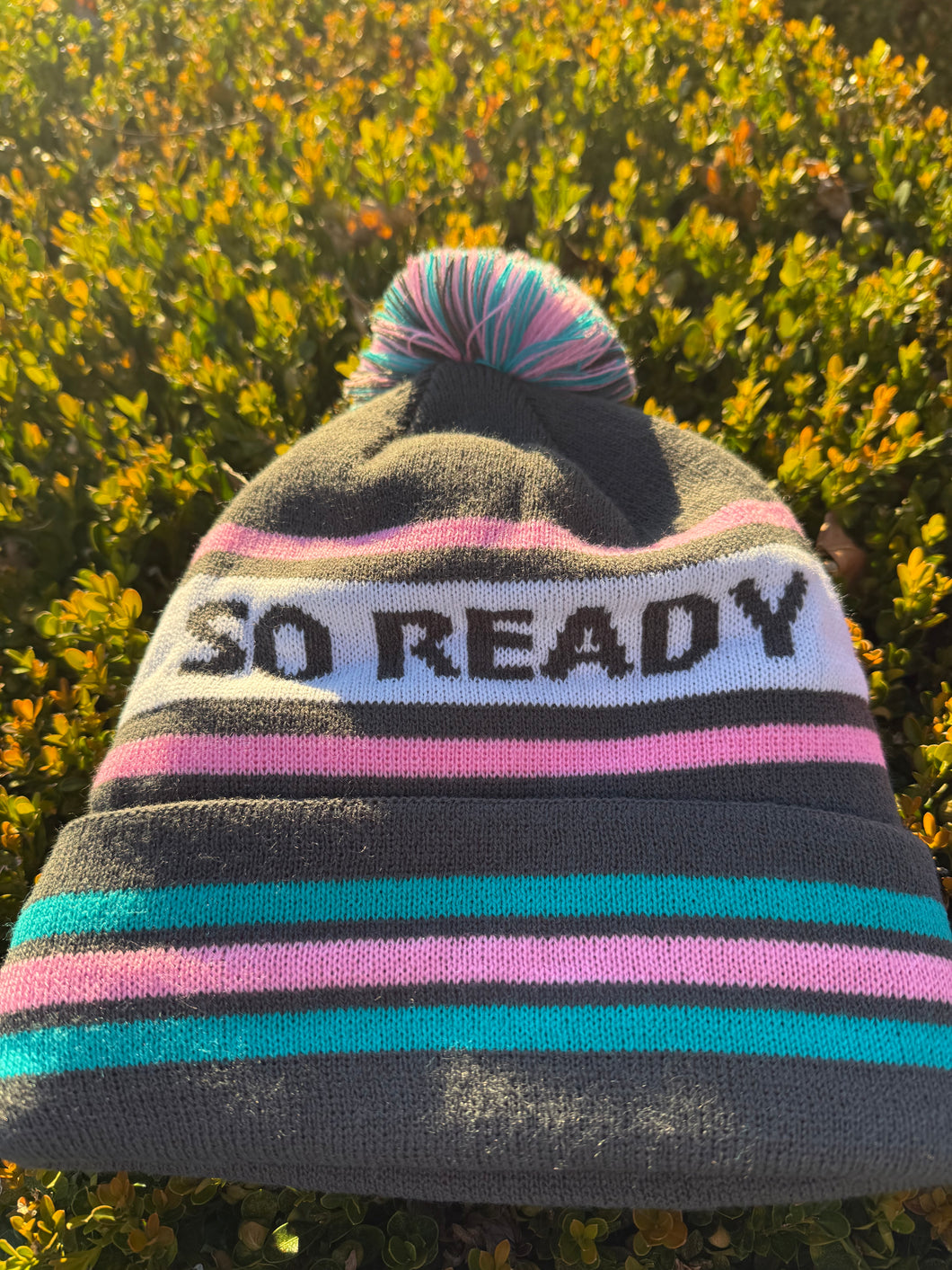 Goose Winter Beanies (multiple styles)