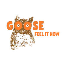Load image into Gallery viewer, G00SE x H00TERS
