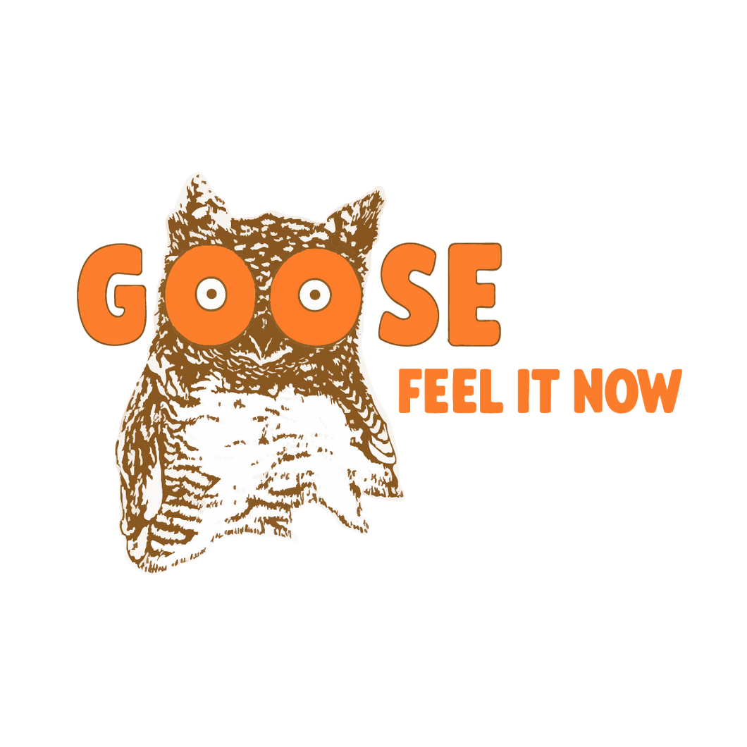 G00SE x H00TERS